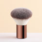 ONE BRUSH TO RULE THEM ALL! Ronshadow Aluminum All-in-One Face Brush